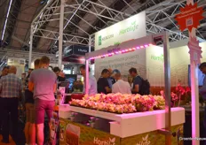 Hortilife and Sercom shared a well-attended booth that included a focus on lettuce cultivation on water.